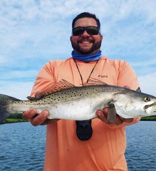 Charleston,SC Large Sea Trout 